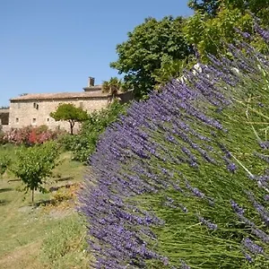 Bed & Breakfast Domaine De Cousignac